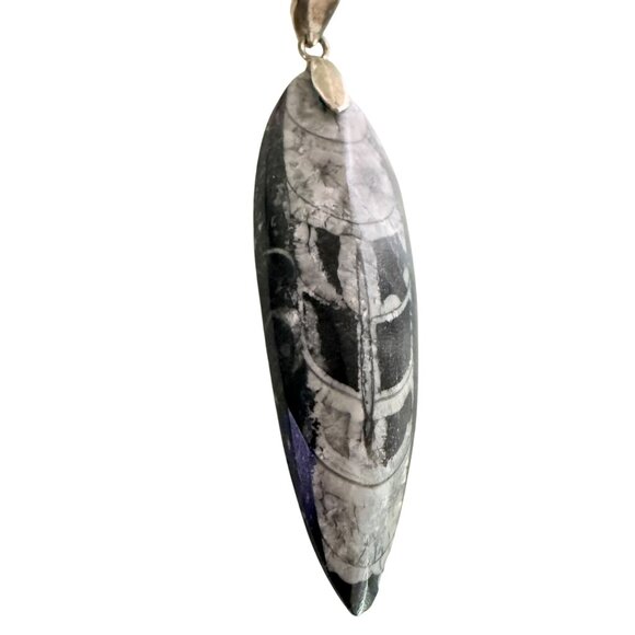 Orthoceras Fossil Pendant With Sterling Silver 925 Bail - Picture 2 of 7